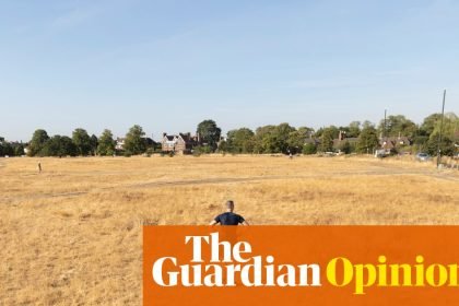Our climate is changing rapidly – and our politicians sound increasingly surreal | Zoe Williams