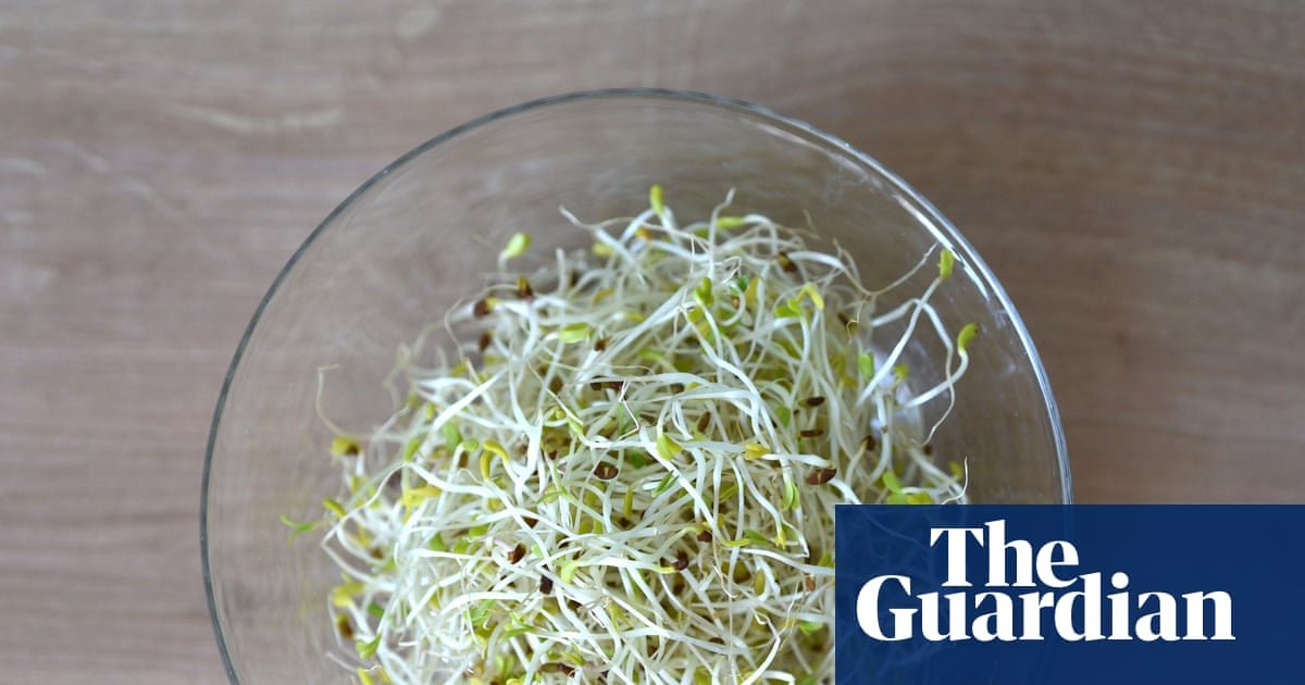 Alfalfa sprouts linked to food-poisoning outbreak in 15 states, US officials say