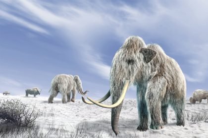 The Woolly Mammoth’s Comeback Is Taking Longer Than Expected