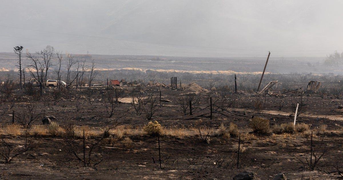 Out-of-control Hawk Fire in Reno, Nevada keeping tens of thousands evacuated