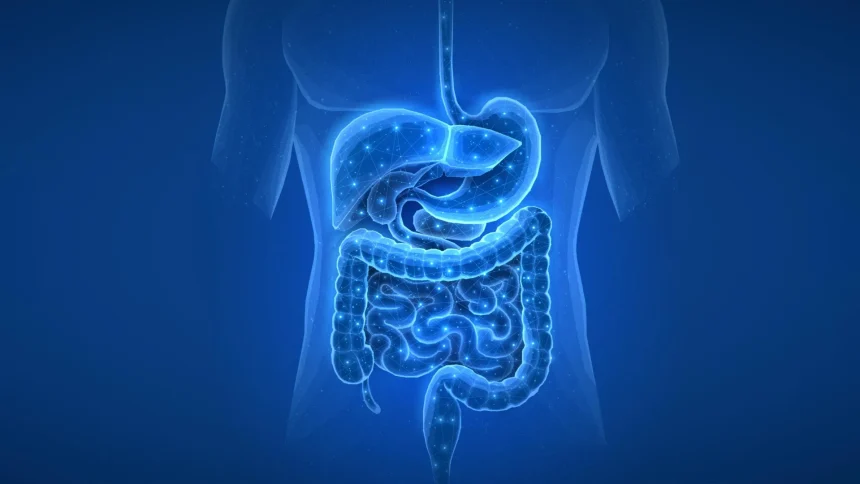 Common medications may change your gut for years
