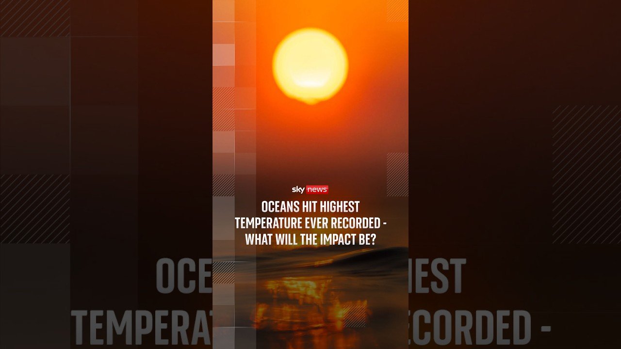 Oceans hit highest temperature ever recorded - what will the impact be?