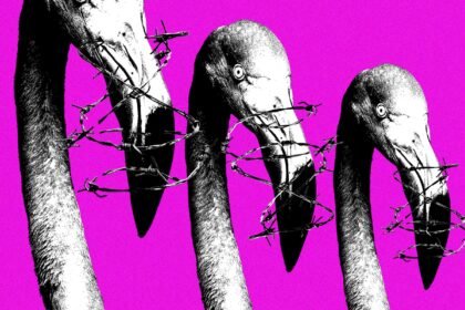 Meta’s Copyright System Is Being Weaponized Against Albanian Protesters