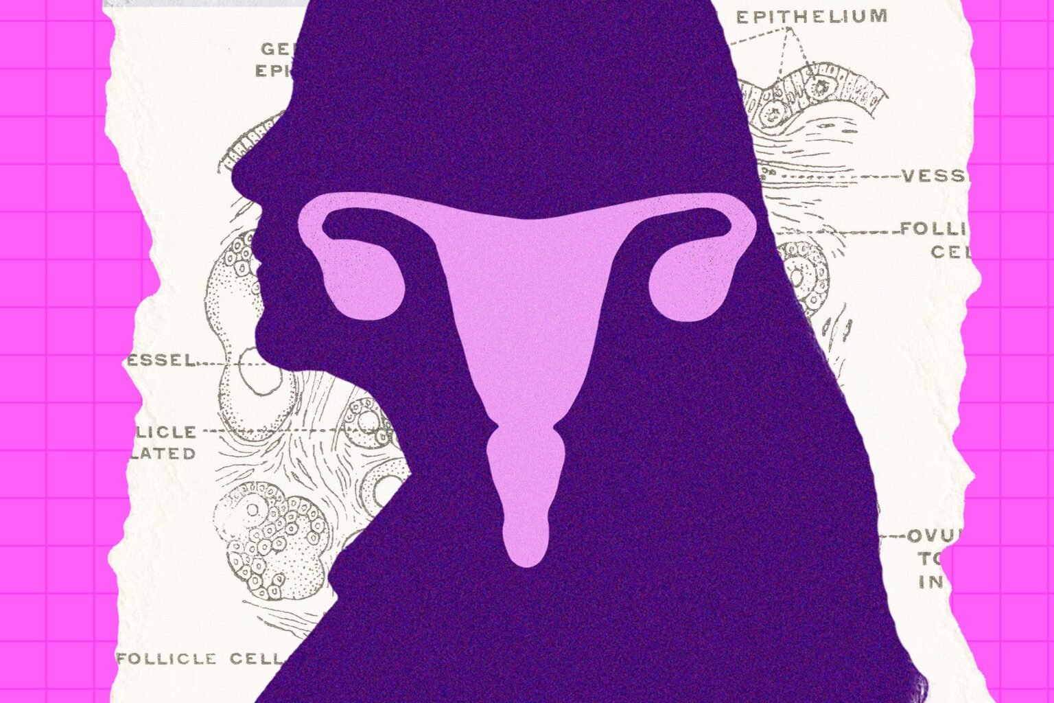 The Ovary Is Surprisingly Active After Menopause. Scientists Are Trying to Figure Out Why