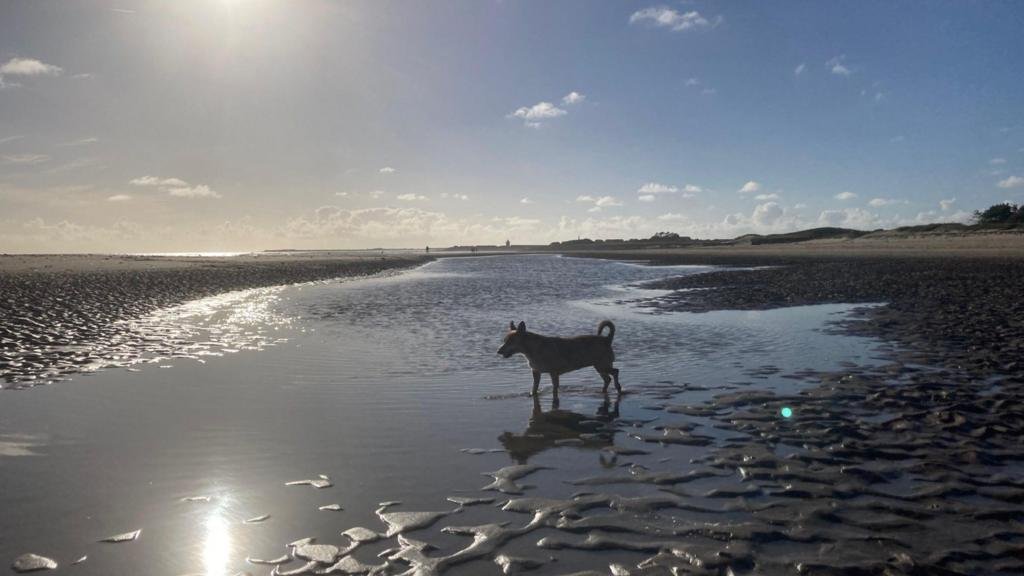 Late September warmth before wind and rain returns this week