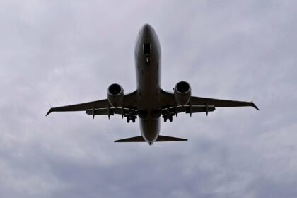 Boeing flags 737 Max software glitch affecting some automated approach functions