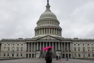 White House moves to block $810 million in funding through pocket rescission