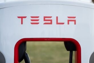 Tesla makes a move on Southeast Asia's largest EV market. A homegrown giant awaits