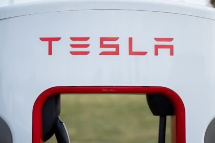 Tesla makes a move on Southeast Asia's largest EV market. A homegrown giant awaits