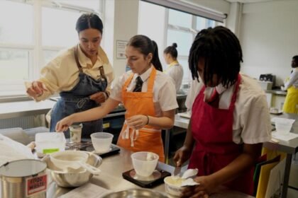 Teenagers to be offered new vocational GCSE subjects in school