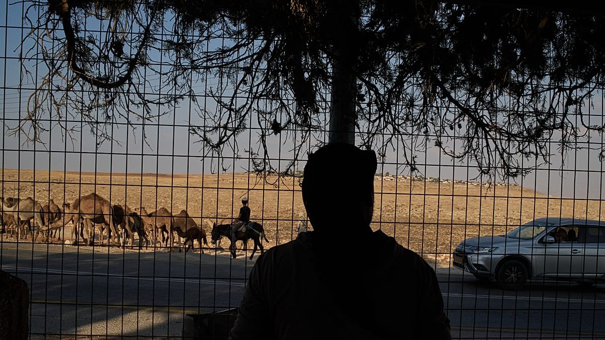 Israeli settlers seizing natural springs in the West Bank
