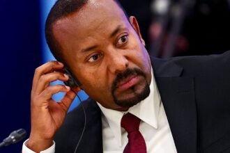 Ethiopia’s army chief accuses Egypt and Sudan of backing armed alliance seeking to oust Abiy Ahmed