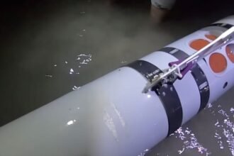 Iran's Revolutionary Guards claim seizure of second US underwater drone in Strait of Hormuz