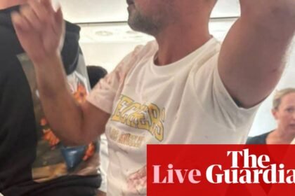 Israeli minister claims ‘terrorist’ wanted to crash plane after Israel-bound flight’s emergency landing – latest