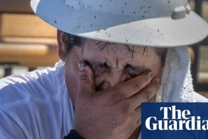 ‘Your body fights to stay cool’: workers toil in record heat as federal rule frozen