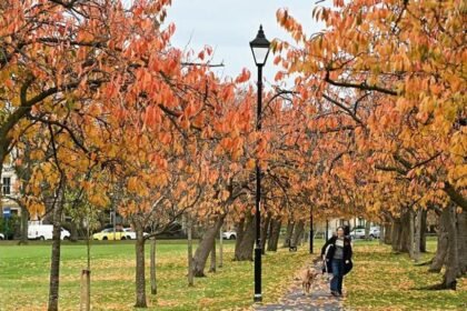 Autumn equinox 2026: When is it and what happens?