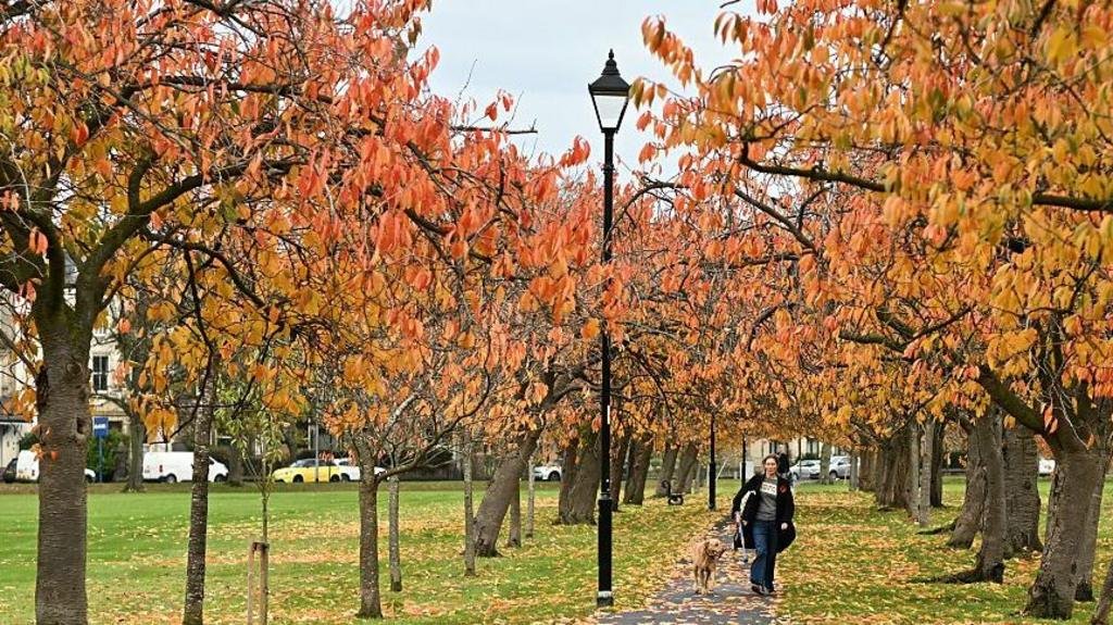 Autumn equinox 2026: When is it and what happens?