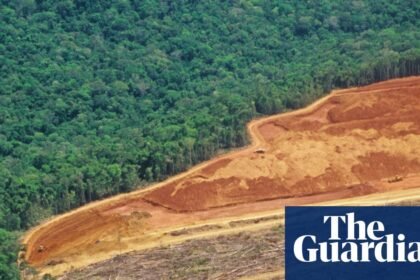 UN warns of ‘narrowing window’ to restore world’s forests