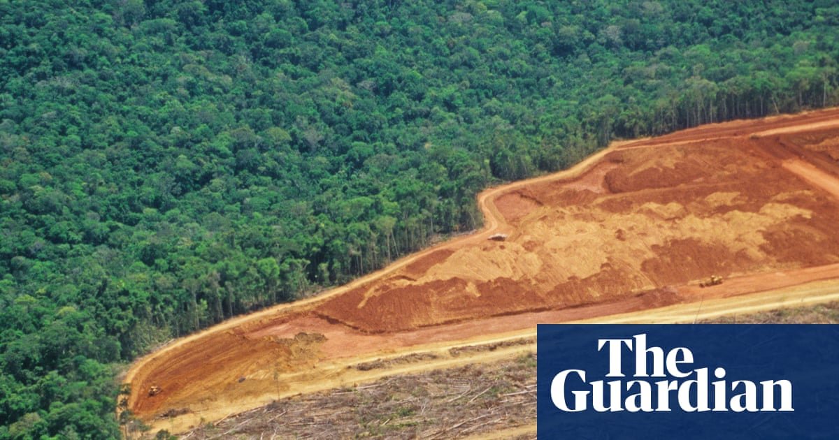 UN warns of ‘narrowing window’ to restore world’s forests