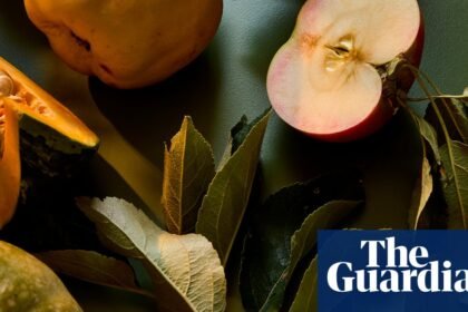 Autumn food stars: what to cook, plant and pick now