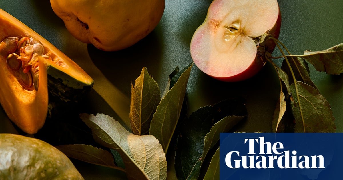 Autumn food stars: what to cook, plant and pick now