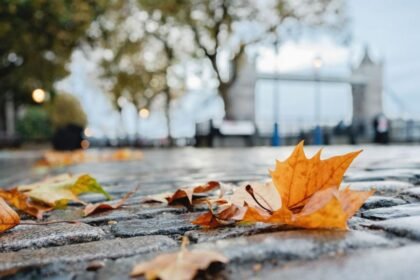 Frost, wind and rain forecast as autumn warmth fades for many