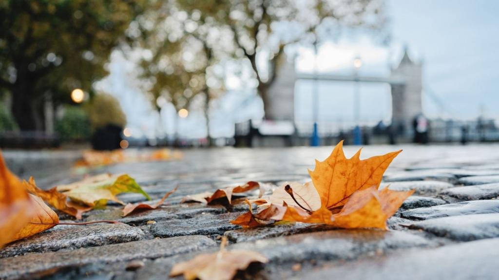 Frost, wind and rain forecast as autumn warmth fades for many