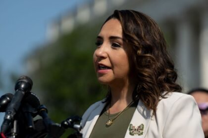 A congressional representative just proposed killing America’s border tower program