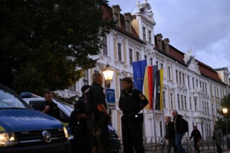 ‘Russian sleeper cell’: Can Germany’s far-right AfD be barred from sensitive intel?