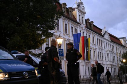 ‘Russian sleeper cell’: Can Germany’s far-right AfD be barred from sensitive intel?