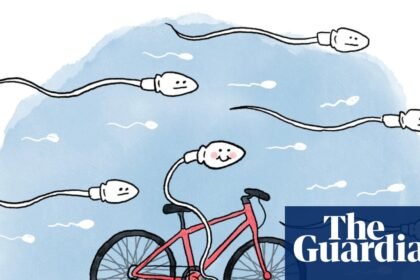 Is it true that … cycling affects fertility?