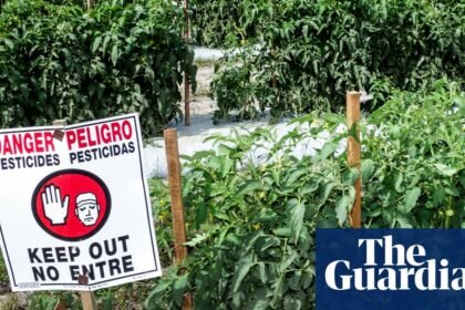 New research finds 485 chemicals in US pesticide products linked to breast cancer