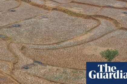 Huge El Niño projected to cause 450,000 deaths in next six months