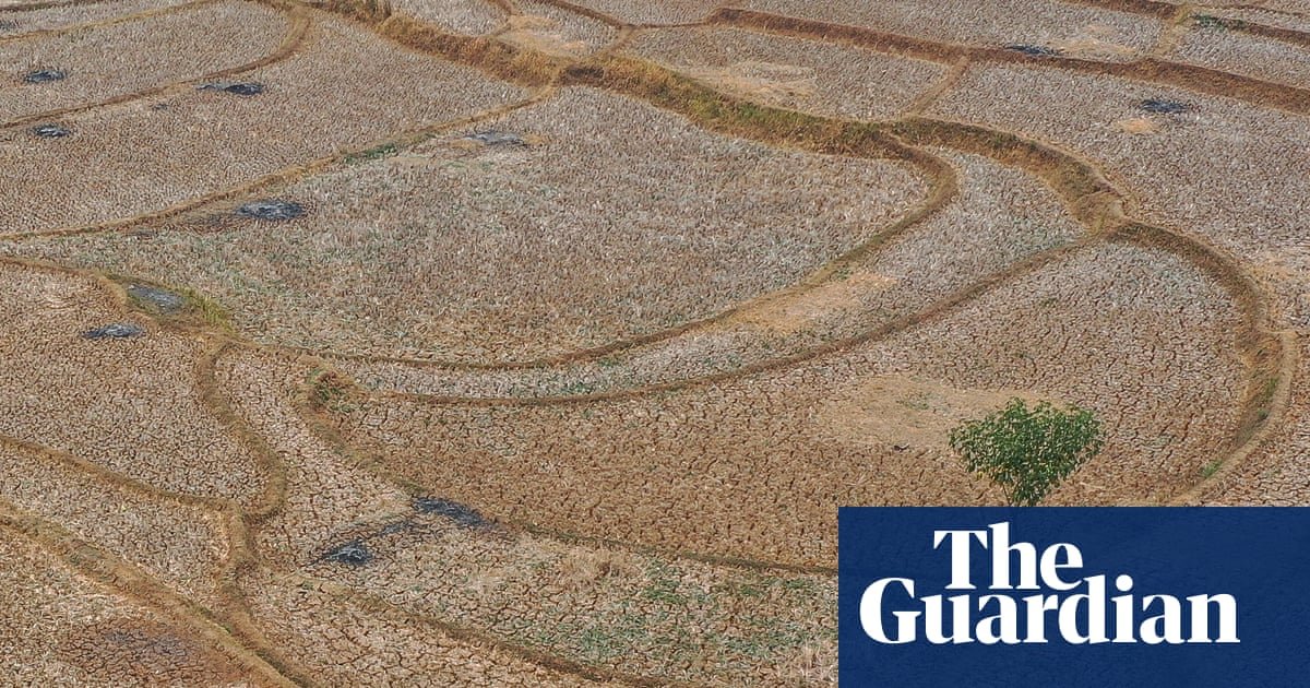 Huge El Niño projected to cause 450,000 deaths in next six months