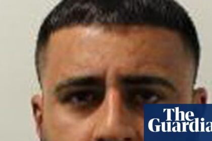 Met chief criticises court system after paedophile granted bail