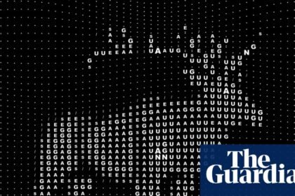 Using AI to ‘talk to animals’ might make us feel clever – but what, if anything, does it do for them?