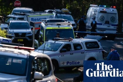 Second child dies after alleged Blue Mountain stabbing as mother faces additional murder charge