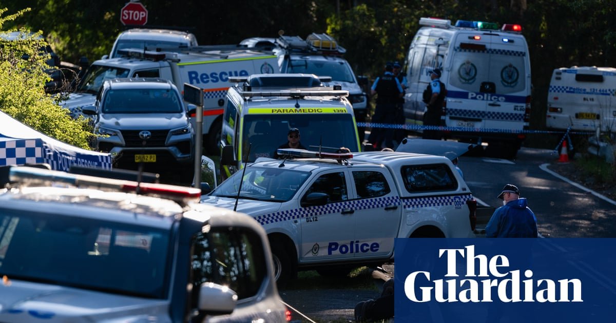 Second child dies after alleged Blue Mountain stabbing as mother faces additional murder charge