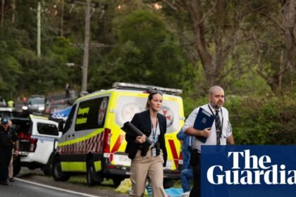 Police allege mother behind Blue Mountains stabbing attack on three children that left one dead
