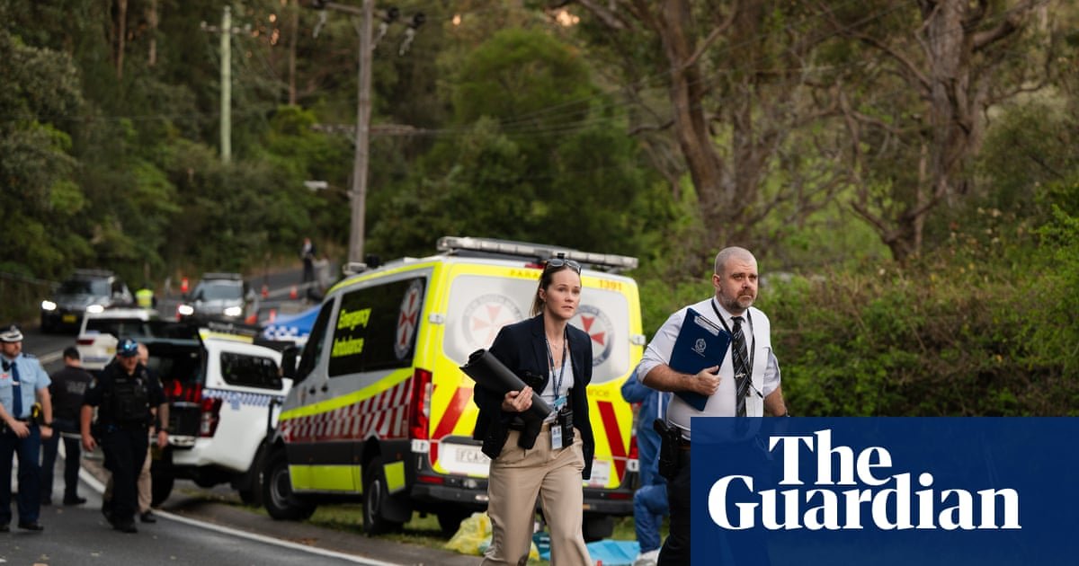 Police allege mother behind Blue Mountains stabbing attack on three children that left one dead