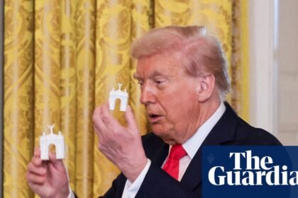 Trump claims triumphal arch will serve as a ‘top grade military complex’ to store weapons