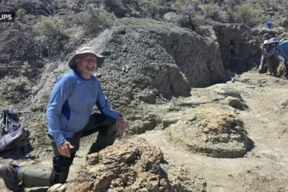 WATCH:  High school teacher discovers T. rex tracks in North Dakota
