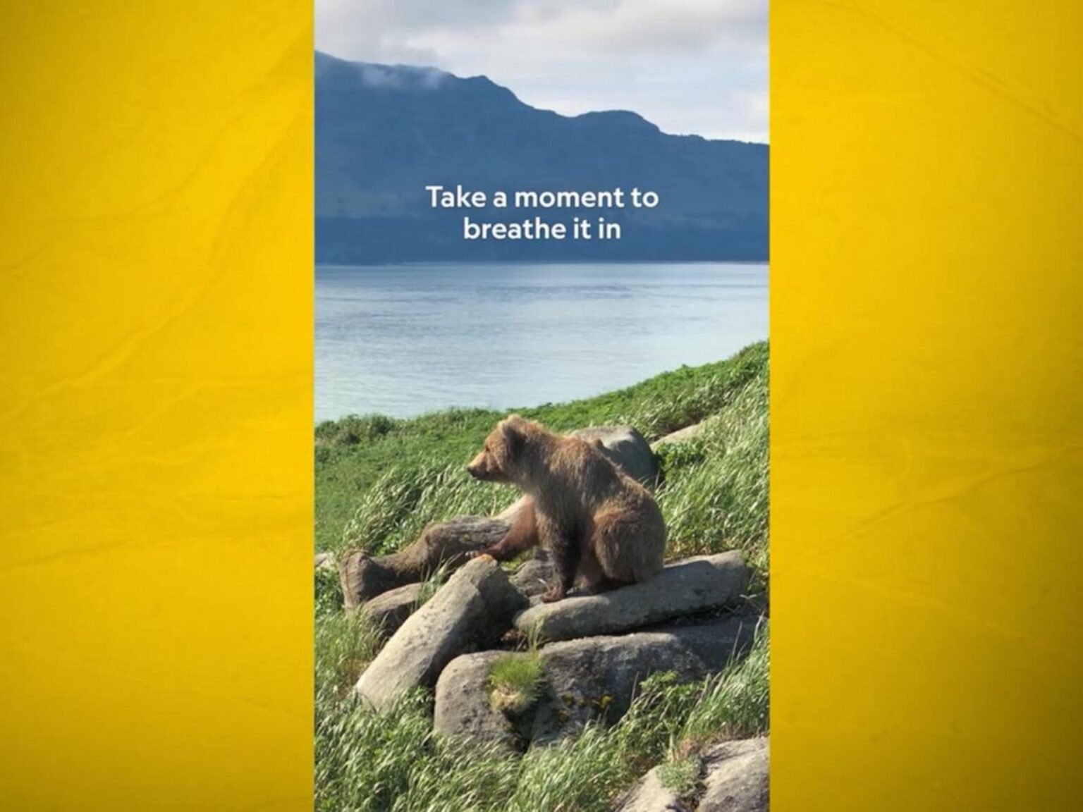 WATCH:  Nat Geo's 'Moment on the Earth' captures bears in Alaska’s Katmai National Park