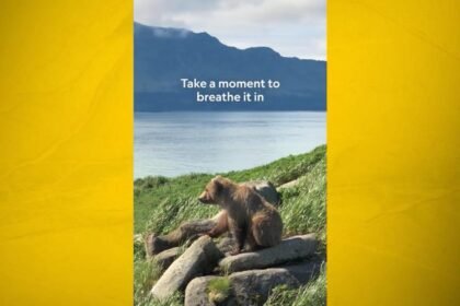 WATCH:  Nat Geo's 'Moment on the Earth' captures bears in Alaska’s Katmai National Park