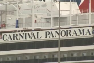 WATCH:  Cruise ship passenger missing after reportedly going overboard