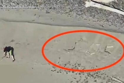 WATCH:  Stranded tourists spell ‘SOS’ on Oregon beach