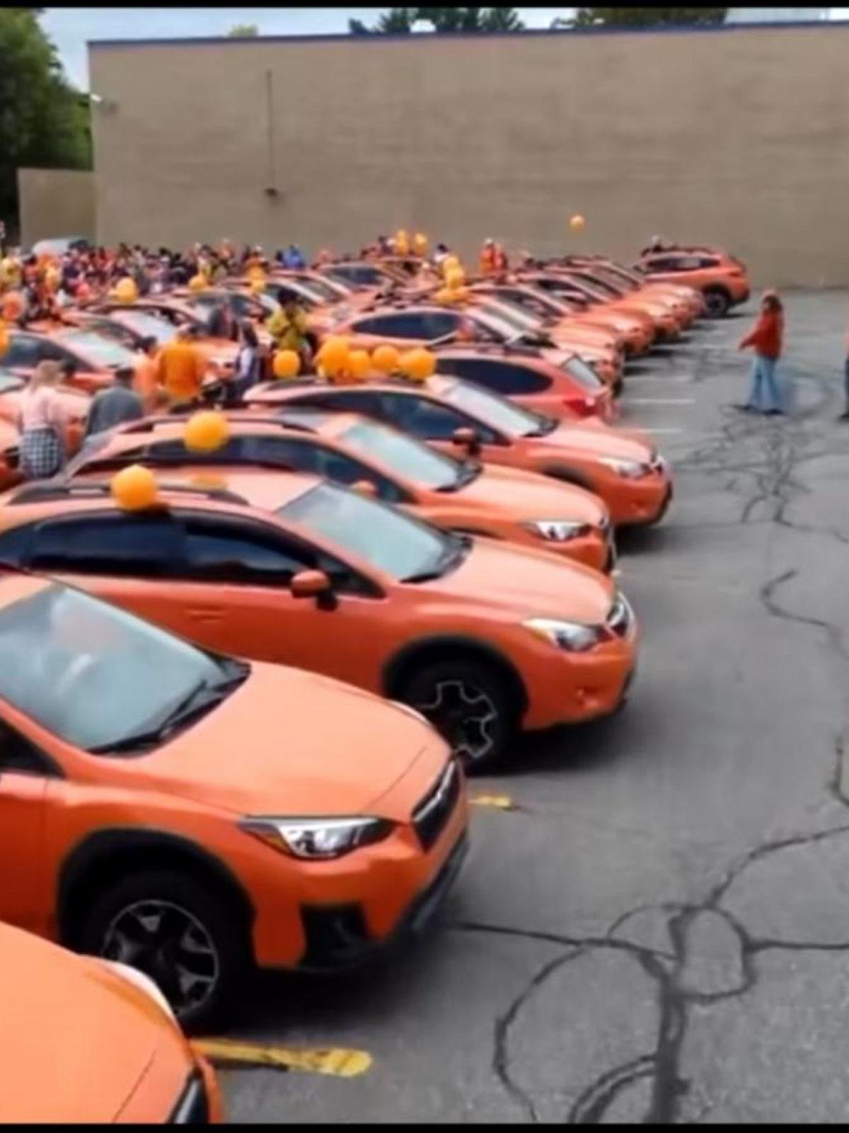 WATCH:  Annual orange car parade grows in popularity