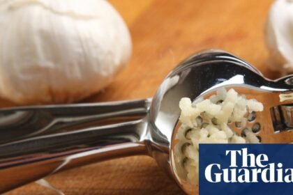 Why are garlic presses so out of fashion? | Kitchen aide