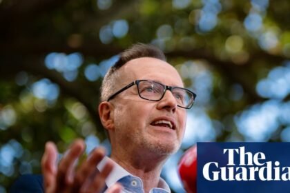 David Shoebridge wants the Greens to ‘seize this moment’. Is his more combative style the answer?