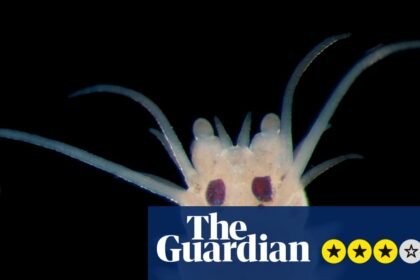 How Deep Is Your Love review – under the sea at Earth’s last frontier with the Psychedelic Elvis Worm